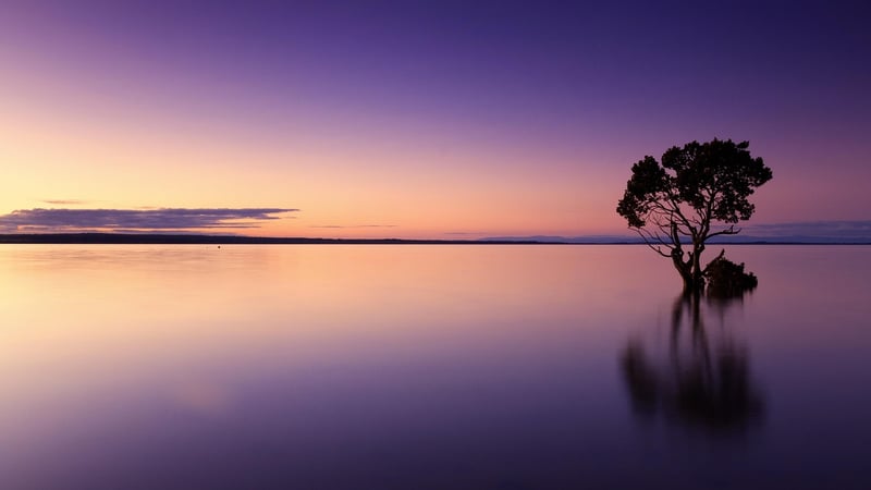 Sunset Serenity